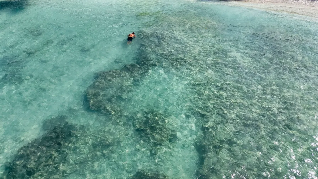 Катамаран в открито море